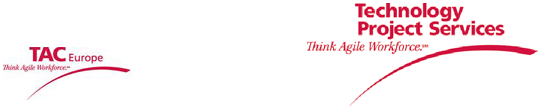 Technology Project Services